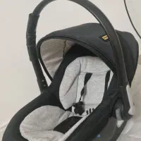 کریر دلیجان|کالسکه و لوازم جانبی|بیرجند, |دیوار