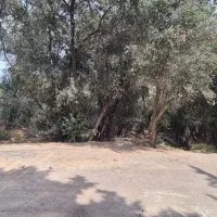 فروش زمین ۲۴۳ متری رودبار الیزه