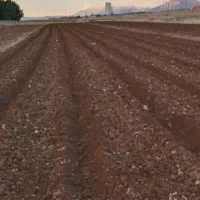 شخم وسمپاشی باغ وگلخانه باتیلروسمپاش پرقدرت دیزلی|خدمات باغبانی و درختکاری|کرمانشاه, |دیوار