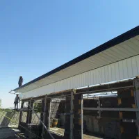 اجرا وطراحی انواع. سقف شیروانی وبتنی و..|خدمات پیشه و مهارت|همدان, |دیوار