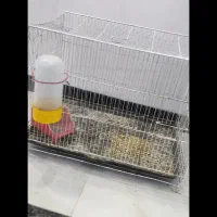 قفس پرنده
