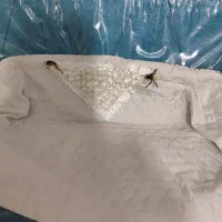 جا رخت خوابی