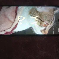 redmi a3|موبایل|مشهد, حسین‌آباد|دیوار