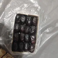 خرما لوتین