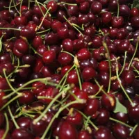 گیلاس فقط وفقط 130