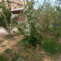 خانه-کلنگی-در-دیال-آباد