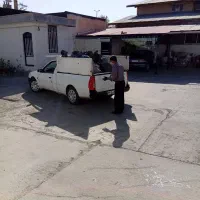 ذغال حبه (نارگیل)