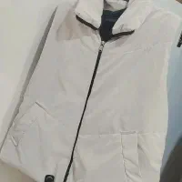 دوعدد پافر درحدنو