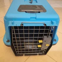 باکس سگ خانگی