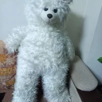 خرس خوشکل سالم یک متری