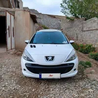 ماشین207پانا مدل 1402 tu5