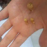 گل گوش شنی ۲۰۰ بالاتابلو