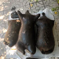 هیزه ۳ منی