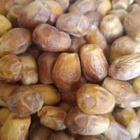 قصب درجه یک|خوردنی و آشامیدنی|شیراز, شهرک مهدیه|دیوار