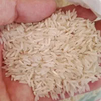 برنج هاشمی  برنج خوشپخت
