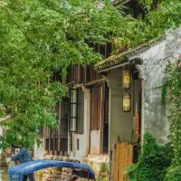 زمین-کشاورزی12000متر-لاله-دشت-کشاورزی