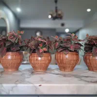 ۴ عدد گل‌مصنوعی بل کیفیت عالی