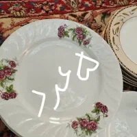 چند دست بشقاب با دیس نو هستن|ظروف سرو و پذیرایی|فردیس, شهرک راه آهن|دیوار