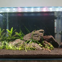 آکواریوم پلنت همراه با وسایل اکواریوم