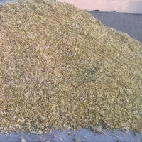 پوست لیمو خشک شده خوراک دام