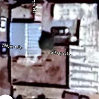 اجاره دامداری با مجوز