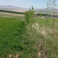 زمین-باغی-در-بستان-آباد