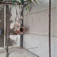 بالغ جفتی ۴۵۰۰۰۰ ...جوجه یکماه جفتی ۲۰۰۰۰۰|پرنده|گرگان, |دیوار