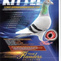 کبوتر پلاکی