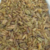 کشمش سبز قلمی