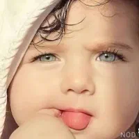 درمان نازایی با ای وی اف واهدای تخمک وجنین ورحم