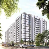 رونیکا پالاس پیروزی