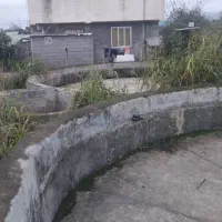 زمین کاربری مسکونی کشاورزی|فروش زمین و ملک کلنگی|تالش, طولارود|دیوار