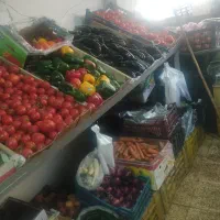 واگذاری میوه فروشی مفت