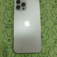 اپل iPhone 12 Pro Max با حافظهٔ ۲۵۶ گیگابایت|موبایل|مشهد, رضاشهر|دیوار