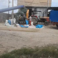 خدمات بوجاری گندم وجو بذری|خدمات باغبانی و درختکاری|گنبد کاووس, |دیوار