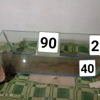 اکواریوم