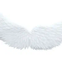 بال فرشته
