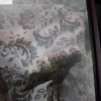 قواره چادر گل مخملی مناسب هدیه