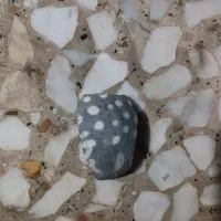 سنگ جالب|جواهرات|بم, |دیوار