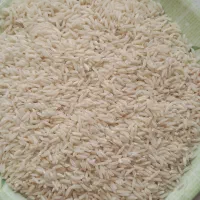 برنج طارم هاشمی|خوردنی و آشامیدنی|شیرگاه, |دیوار