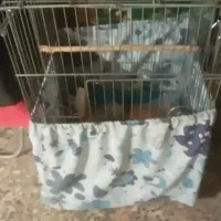 قفس پرنده بدون  سینی