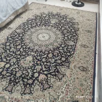 فرش ۶متری|فرش|آزادشهر, |دیوار