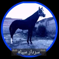 اسب تروبرد