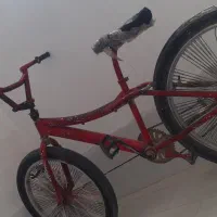 دوچرخه حرفه‌ای