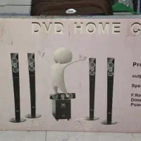 باند سالم با کارتن