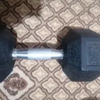 دمبل 12.5 نو|تجهیزات ورزشی|مشهد, بهاران|دیوار