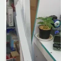 لاین نوری|لامپ و چراغ|یزد, |دیوار