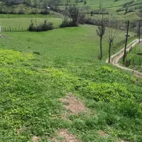فروش زمین ۵۳۵ متری با بهترین لوکیشن شمال|فروش زمین و ملک کلنگی|تهران, اسکندری|دیوار