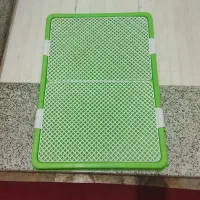 وسایل سگ|سگ|شیراز, محراب|دیوار