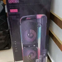 باند مسافرتی